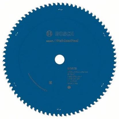 Снимка на Циркулярен диск EX SL T 305x25,4-80;305x25,4-80;2608644284