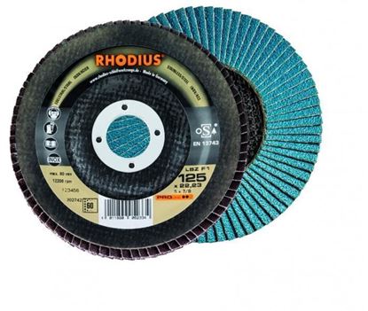 Снимка на Ламелен диск Rhodius LSZ F1,125x22.23 G120