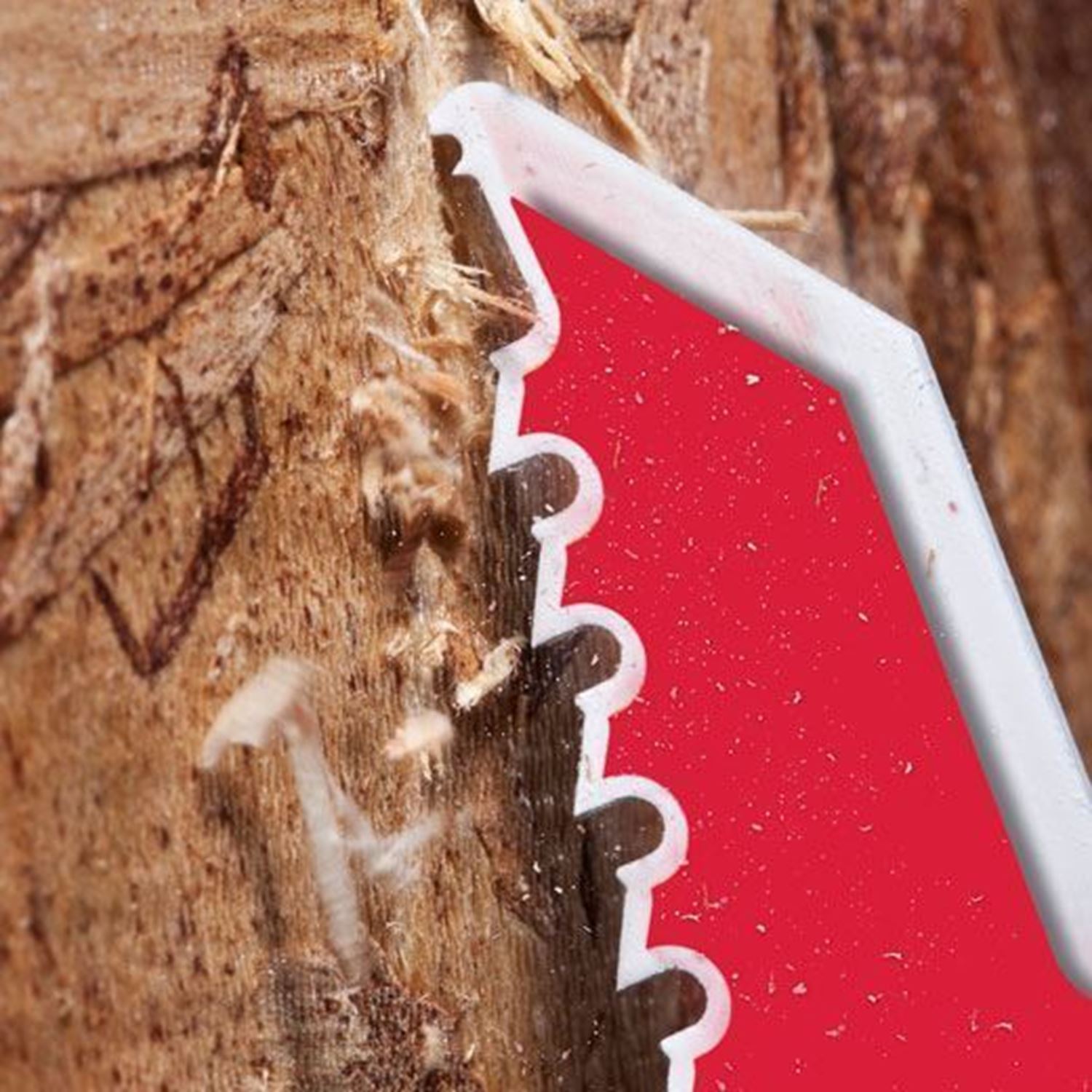 Снимка на Нож за саблен трион Milwaukee The AXE SAWZALL за рязане на дърво с пирони 150 x 5tpi 48008021